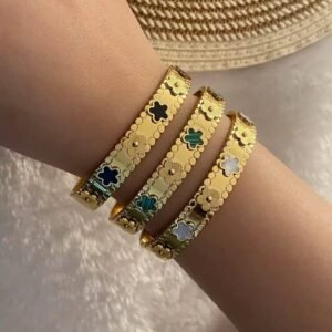 اسورة فان كليف استانلس